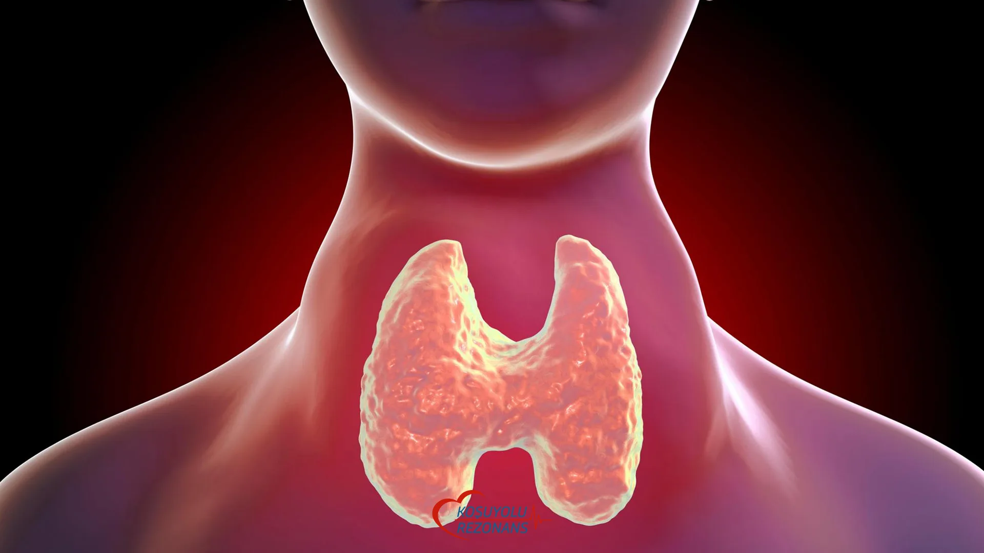 Guatr Nedir?